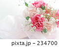 かわいい 室内 アレンジメント
