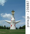 236887