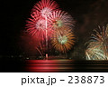 素材ナンバー 238873 : 「琵琶湖花火大会」