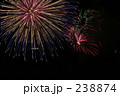 素材ナンバー 238874 : 「琵琶湖花火大会」