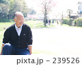 孫を見つめる