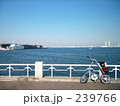 横浜とSTRIDA