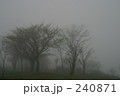 静