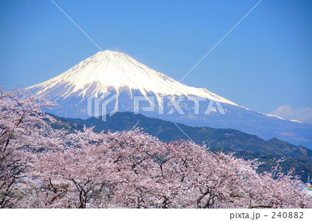 「富士山」の写真素材