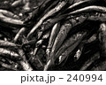 240994