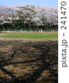 桜の花びらとグラウンド