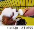 アイスクリーム大好き