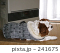 ぬくぬく