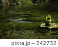 242732