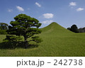 242738