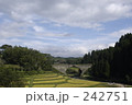 242751