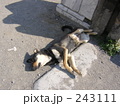 世界遺産を枕に・・・