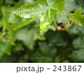 水玉08