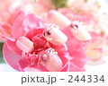 ネイルチップピンク（横）
