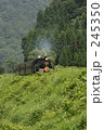 245350