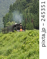 245351