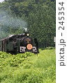245354