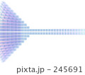 245691