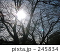 逆光