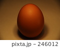 Egg