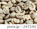 コーヒー生豆