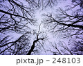 looking up