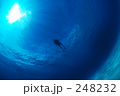 248232