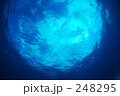 248295