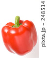 248514