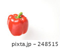 248515
