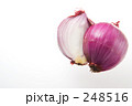 248516