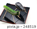 248519