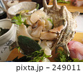 さしみ