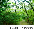 和の小道