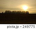 249775