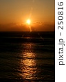 素材ナンバー 250816 : 「伊豆の夕日」