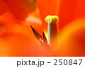 f0807