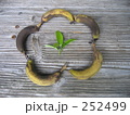 252499