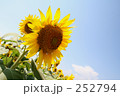 素材ナンバー 252794 : 「無題」