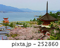春の宮島