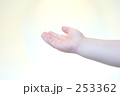 コドモの手