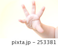 コドモの指（5本正面）