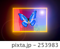 モルフォ蝶イメージ