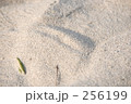 白浜