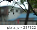 最後の。