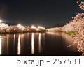 弘前城　西濠の夜桜