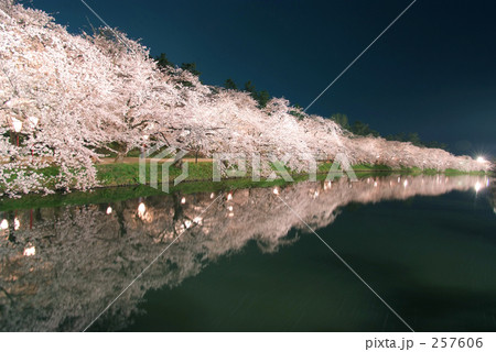 「西濠に映る桜のトンネル」の写真素材