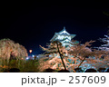 夜桜と弘前城