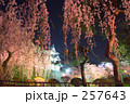 しだれ桜