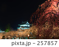 弘前公園　夜桜